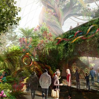 Concept art of The Elder Tree Eden Project Morecambe